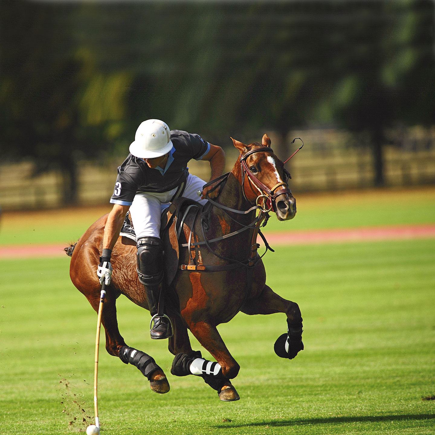 Polo