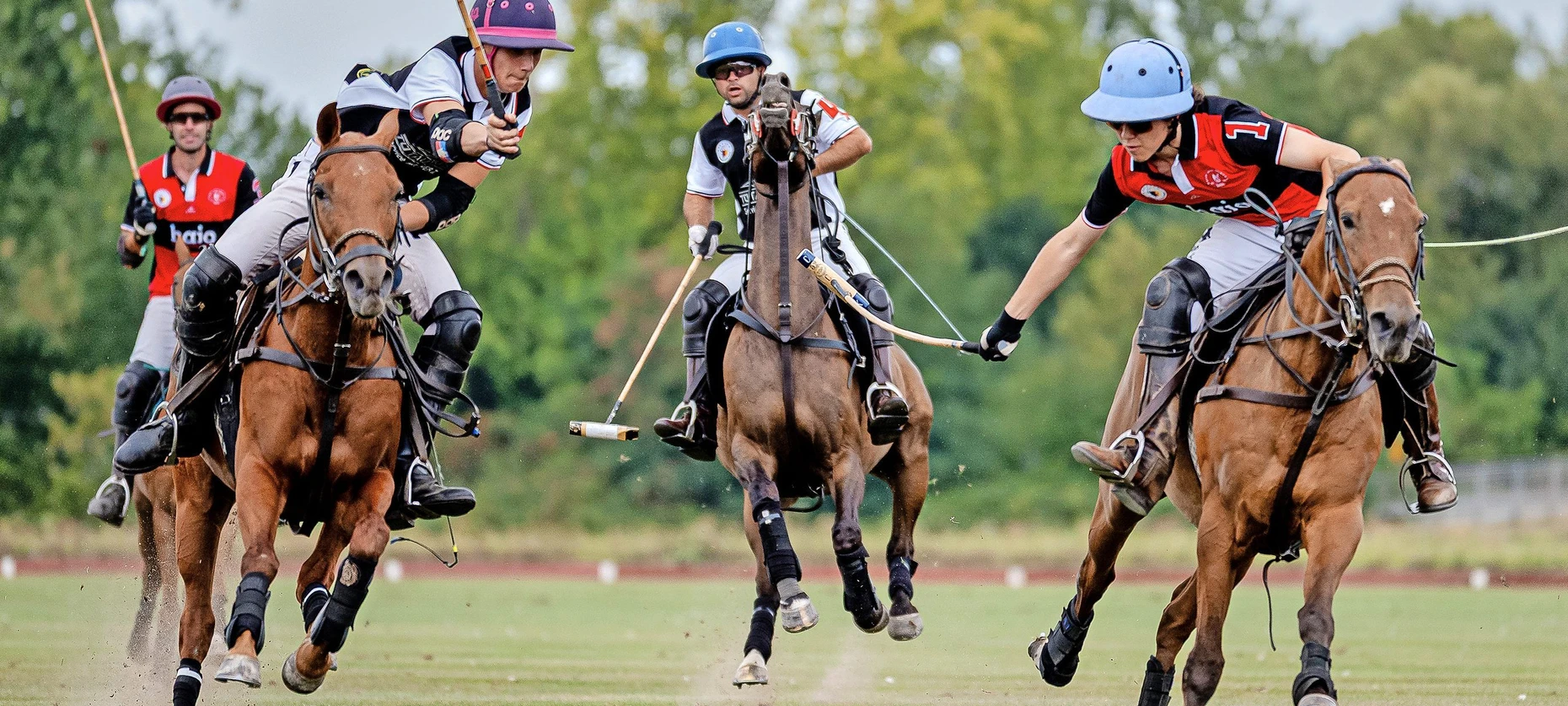 Polo