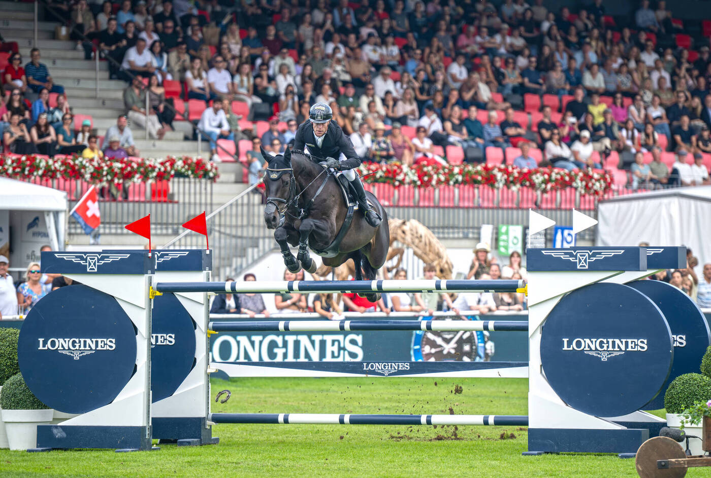 Springreiten