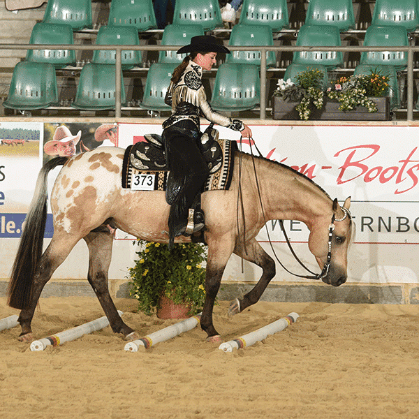 Westernreiten