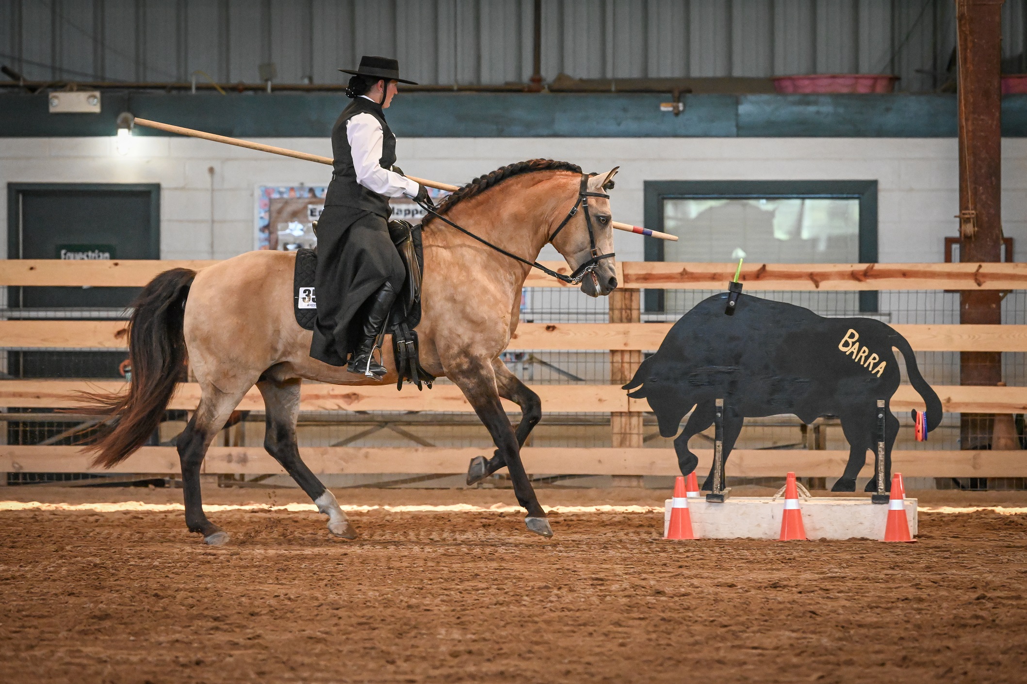 Working Equitation